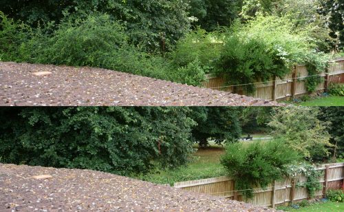 Hedge cutting - before and after